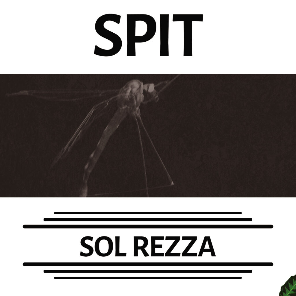 SPIT