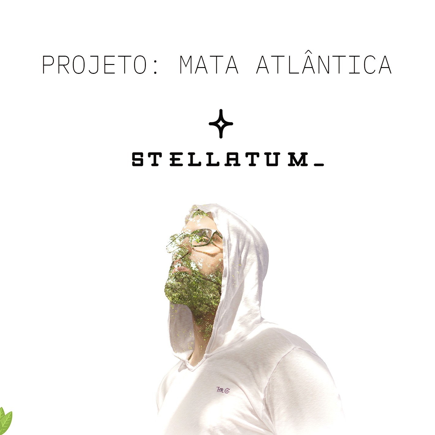 Projeto. Mata Atlântica — STELLATUM_