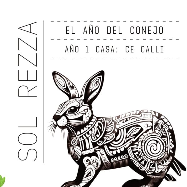 The YEAR of the Rabbit (El AÑO del Conejo)