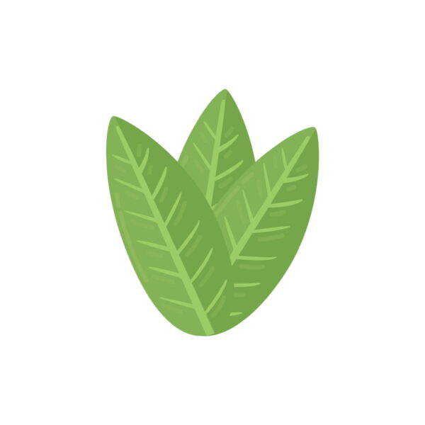 CALATHEA experimenta