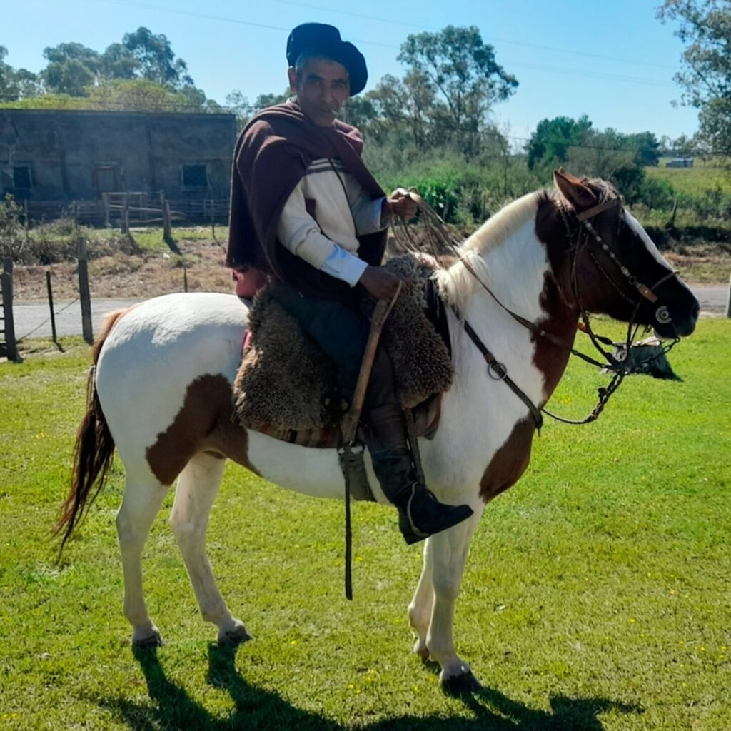 ROBERT DA SILVA