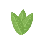 CALATHEA experimenta — Radioarte | Experimental