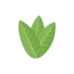CALATHEA experimenta