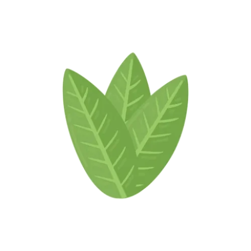 CALATHEA experimenta